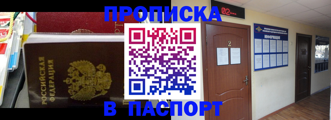 прописка гарантия в Приволжске